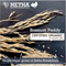 Hetha Basmati Paddy